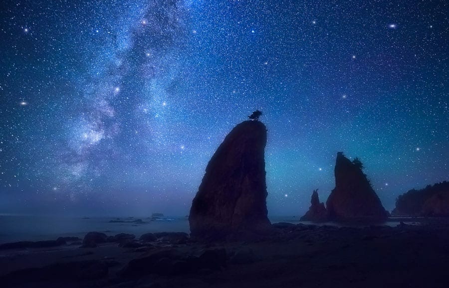 Become Your Dreams - Olympic National Park, Washington