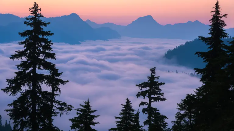 Aperture Priority Mode - Best Camera Technique for Landscape Photography [year_brackets]