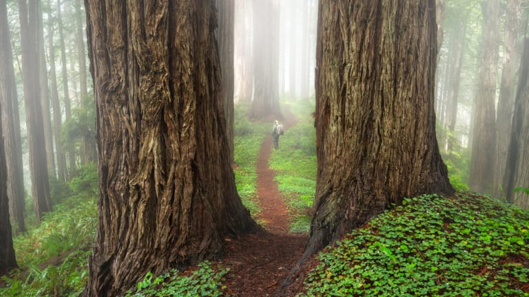 How to Take Landscape Photos - My 5 Step System [year_brackets]